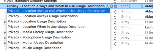 Xcode Info.plist showing the NSLocationWhenInUseUsageDescription privacy key for foreground location access