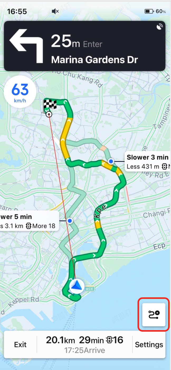 Overview display mode showing the entire remaining route on a single screen with turn-by-turn directions