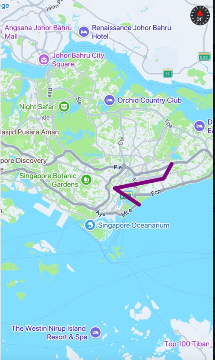 Custom overlay added to the navigation map view showing a directional route indicator arrow on the map