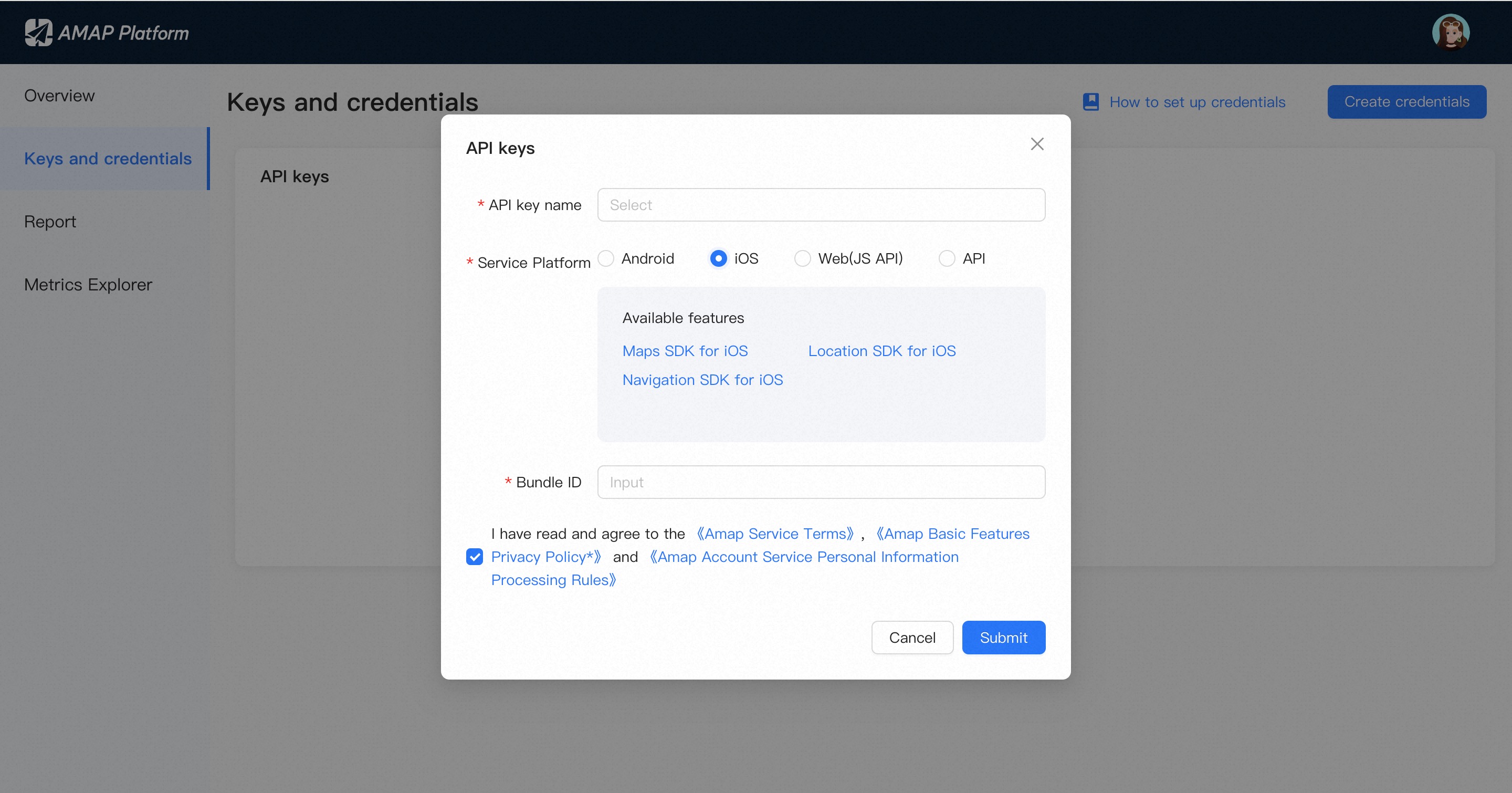 API key configuration screen showing the Bundle ID security code field
