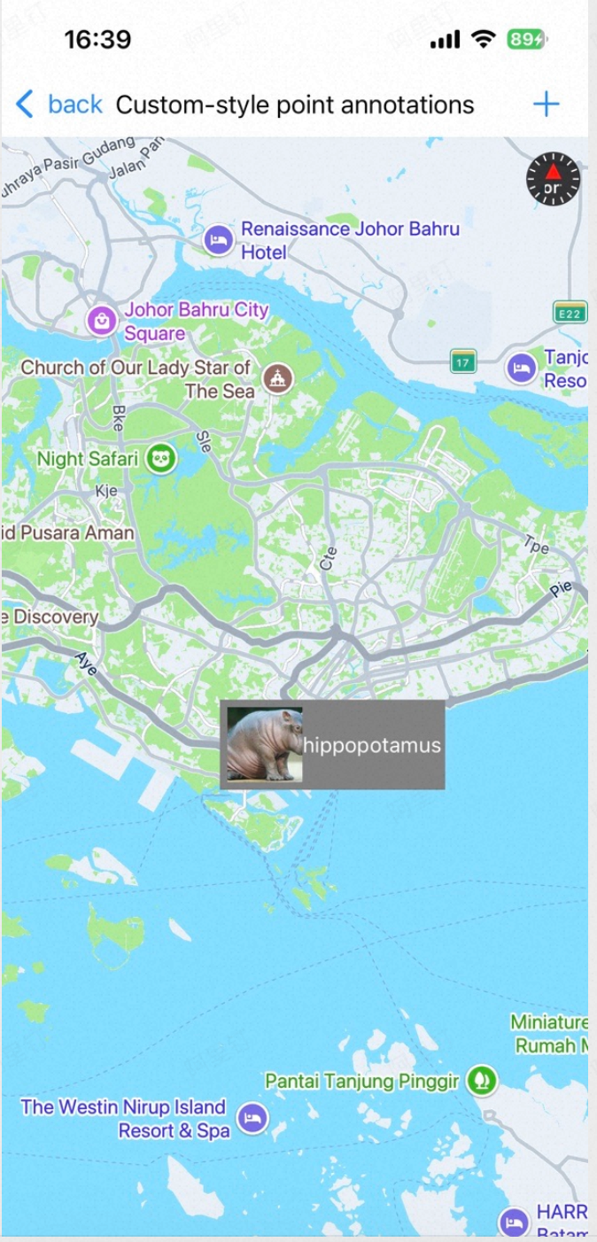 Custom restaurant icon marker with bottom-center anchor point offset on an iOS map